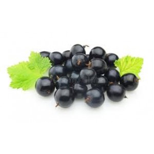 RIPE BLACKCURRANT | 30ml SALT NIC (10-50) mg (Phoenix) RIPE BLACKCURRANT | 30ml SALT NIC (10-50) mg (Phoenix)